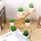 6-Pack Artificial Succulent Plants in Pots – Realistic Mini Aloe & Lotus Fake Bonsai Decor for Home, Bathroom, Bedroom, Windowsill, Office & Indoor Decoration